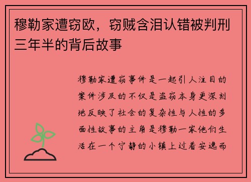 穆勒家遭窃欧，窃贼含泪认错被判刑三年半的背后故事