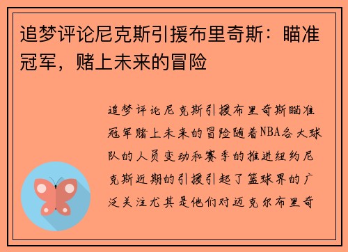 追梦评论尼克斯引援布里奇斯：瞄准冠军，赌上未来的冒险