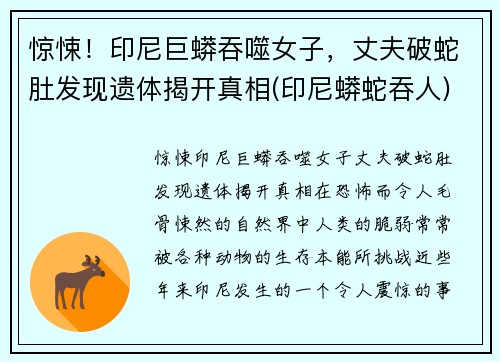 惊悚！印尼巨蟒吞噬女子，丈夫破蛇肚发现遗体揭开真相(印尼蟒蛇吞人)