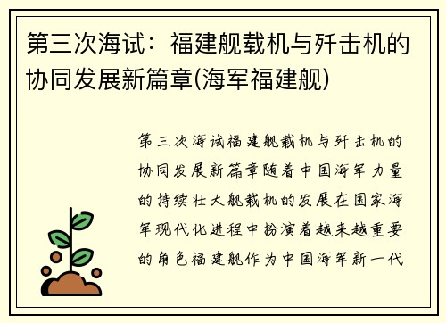 第三次海试：福建舰载机与歼击机的协同发展新篇章(海军福建舰)